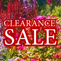 Clearance Sale